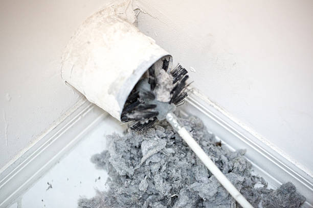 Best Air Quality Test  in Trenton, IL